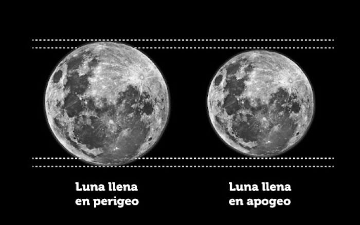 La imagen muestra a escala la variación en el tamaño angular de la Luna. El cambio es tan pequeño que es virtualmente imposible de percibir excepto comparando fotografías. Crédito: : www.plazacielotierra.org