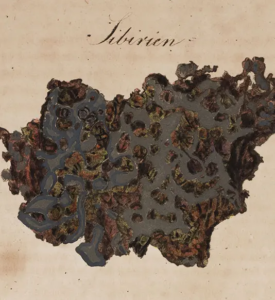 Fragmento del hierro de Pallas, de Karl von Schreibers. Viaje a la historia y conocimiento de las masas de acero y metal meteorológicas, 1820. Linda Hall Library.