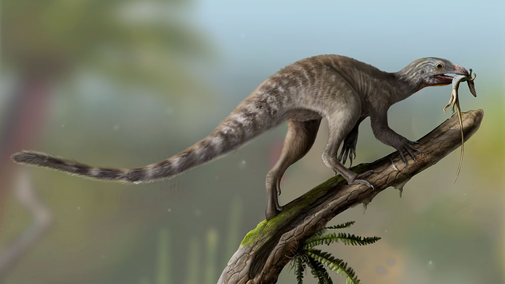 El Venetoraptor: el origen de los reptiles voladores