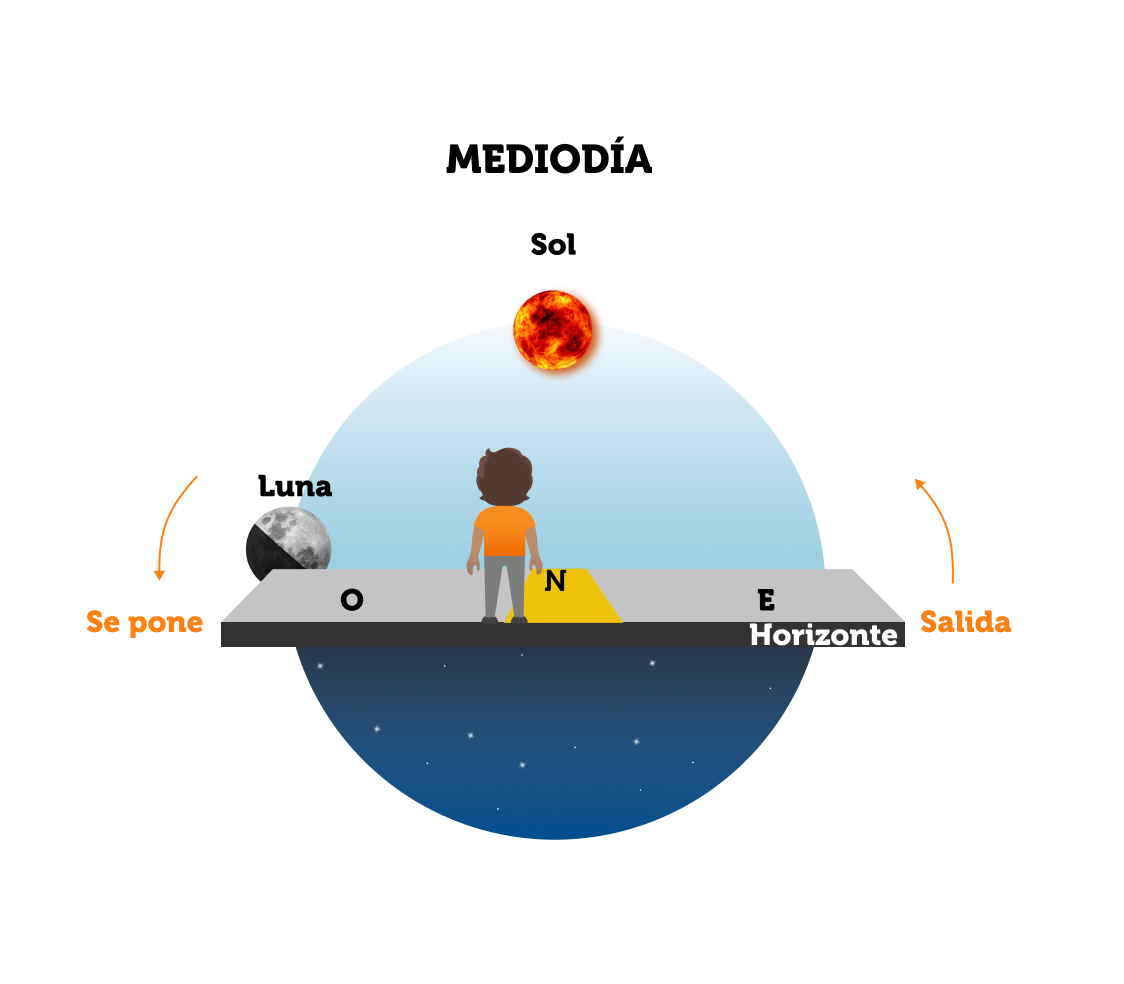 Posición relativa entre el Sol y la Luna en el transcurso del día durante la fase cuarto menguante. Crédito: www.plazacielotierra.org