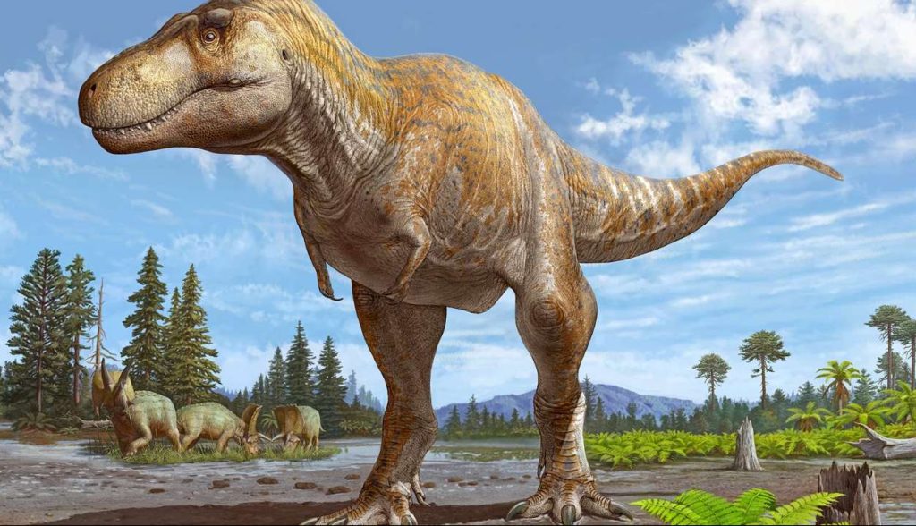 Reconstrucción paleoartística de Tyrannosaurus mcraeensis. Crédito: Sergei Krasinksi en National Geographic.