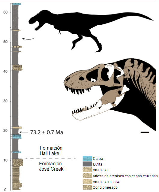 Estratigrafía de la Formación Hall Lake. 