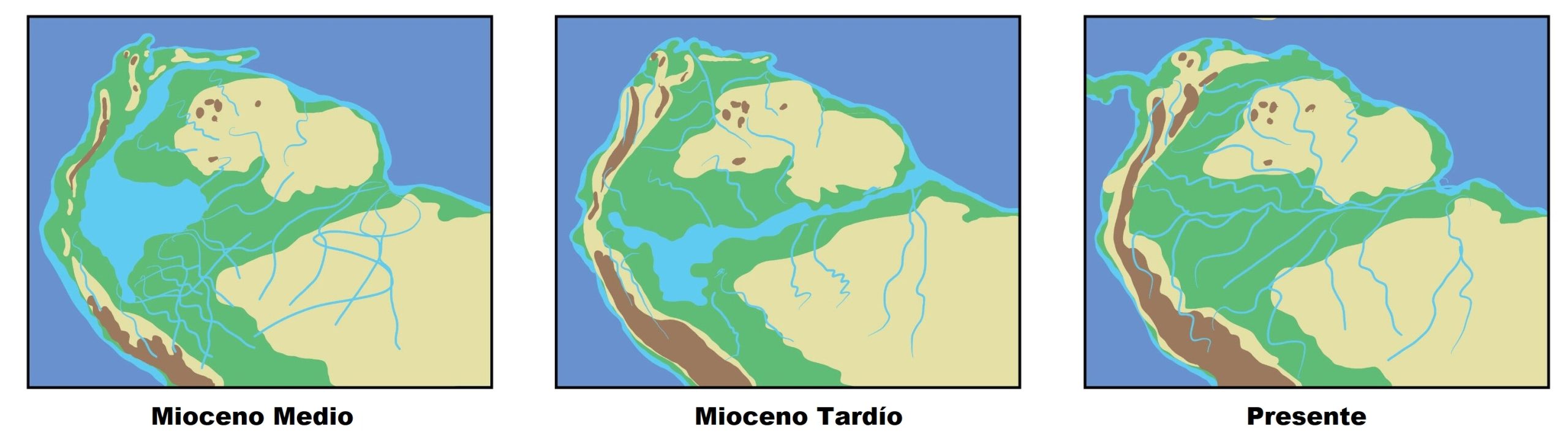 (Imagen 4) Evolución geográfica del norte de Sudamérica. Se observa como al noroeste se formó el gran humedal Pebas durante el Mioceno medio a tardío y que luego desapareció hacia el presente. Modificado de Benites-Palomino et al. 2024.