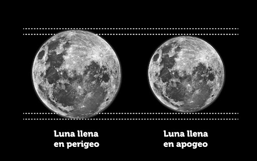 La imagen muestra a escala la variación en el tamaño angular de la Luna. El cambio es tan pequeño que es virtualmente imposible de percibir excepto comparando fotografías. Crédito: www.plazacielotierra.org.