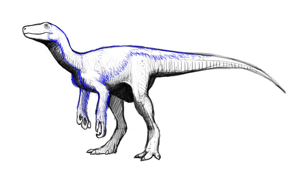 Reconstrucción de un Herrerasaurus