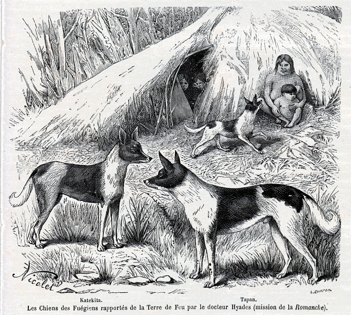 Nota. Adaptado por Plaza Cielo Tierra de Perros de los fueguinos por León-Louis Chapon {Ilustración}, 1884, Wikipedia (https://bit.ly/perrosfueguinos). Dominio Público