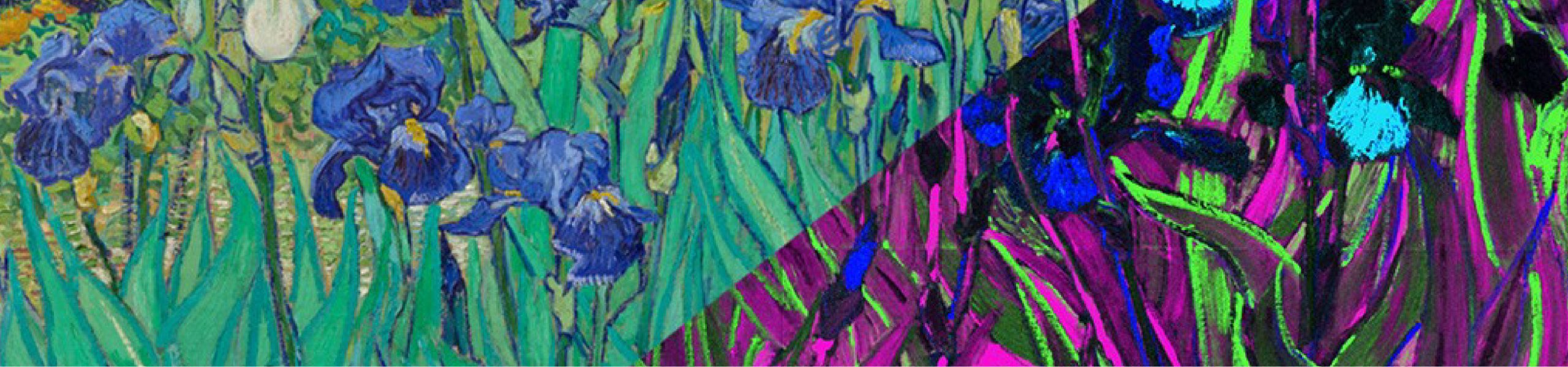 Los lirios de van Gogh eran violetas y no azules