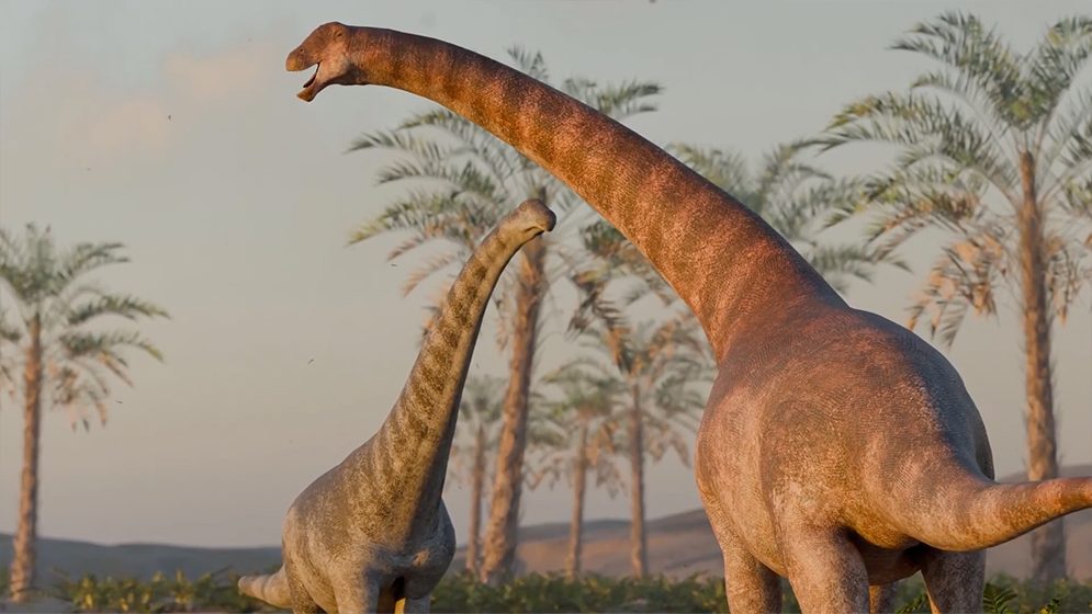 Hallan una nueva especie de titanosaurio patagónico