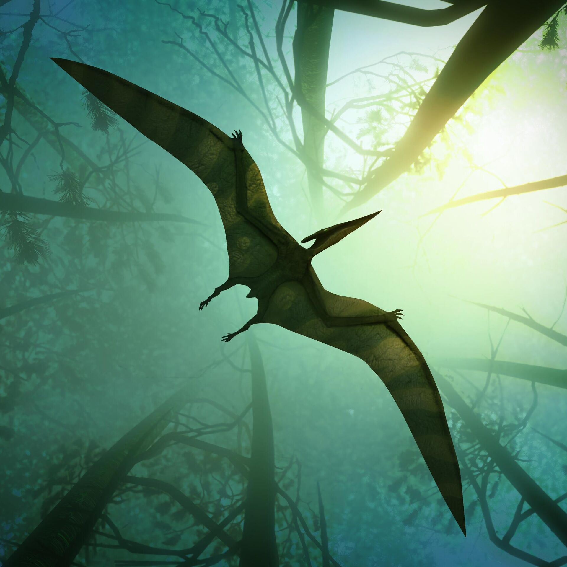 Pterodáctilos: el registro más antiguo es patagónico