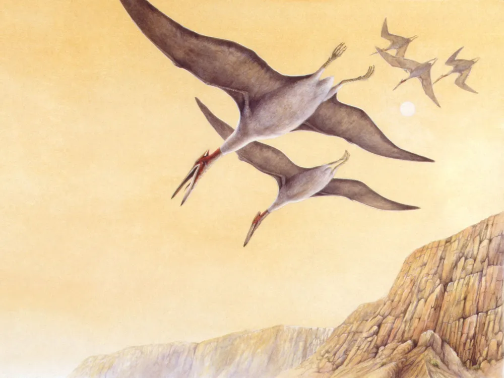 El pterodáctilo antiguo que voló en la Argentina prehistórica