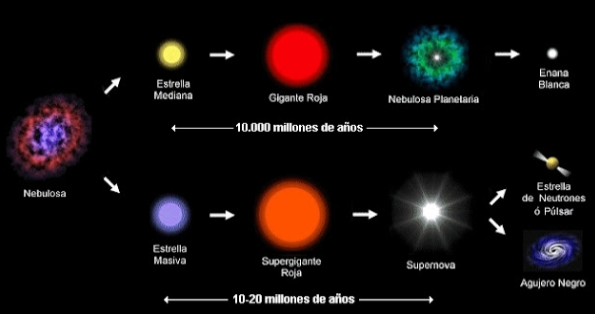 Se observa un esquema acerca de cómo evolucionan los distintos tipos de estrellas.