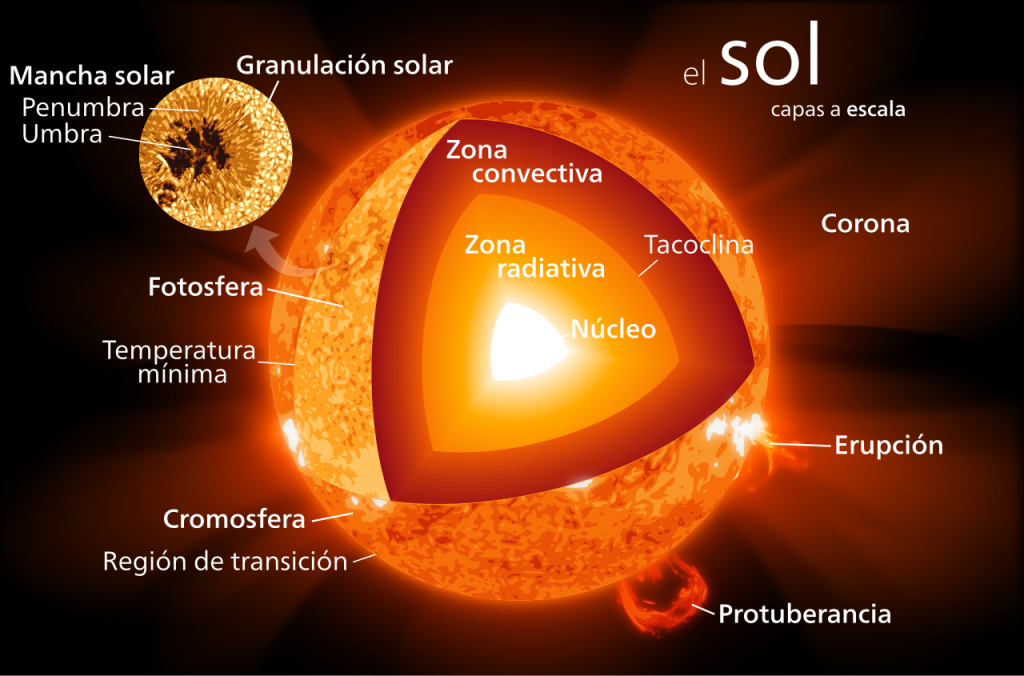 Se observa una infografía que nombra las regiones del Sol por dentro.